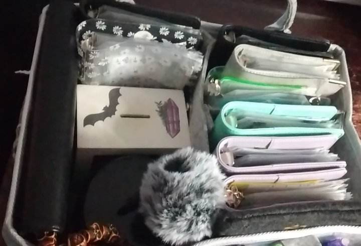 Budgeting Organizer Tasche, Filz Tragetasche für Budgetbinder und Zubehör