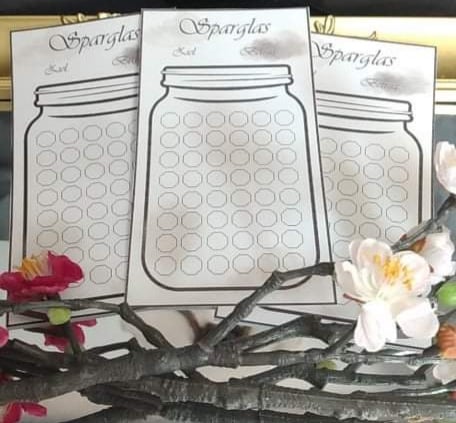 Sparglas Kleingeld Geld Spartracker Challenge Binder passend für A6 Zippertaschen grey