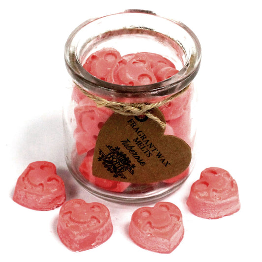 Waxmelts Duftwachs Raumduft Tuberose Geschenk Aromatherapie