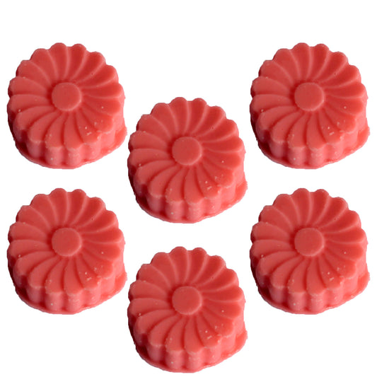 Waxmelt Fresh Watermelon Raumduft Aromatherapie Geschenk Soja Wachs
